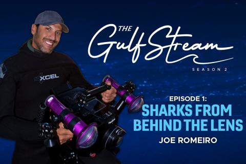Joe Romeiro Podcast