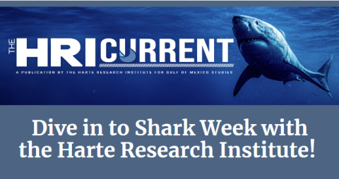 Shark Week HRI Current