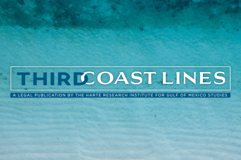 Third Coast Lines publication