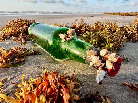 Message in a bottle on the texas coast