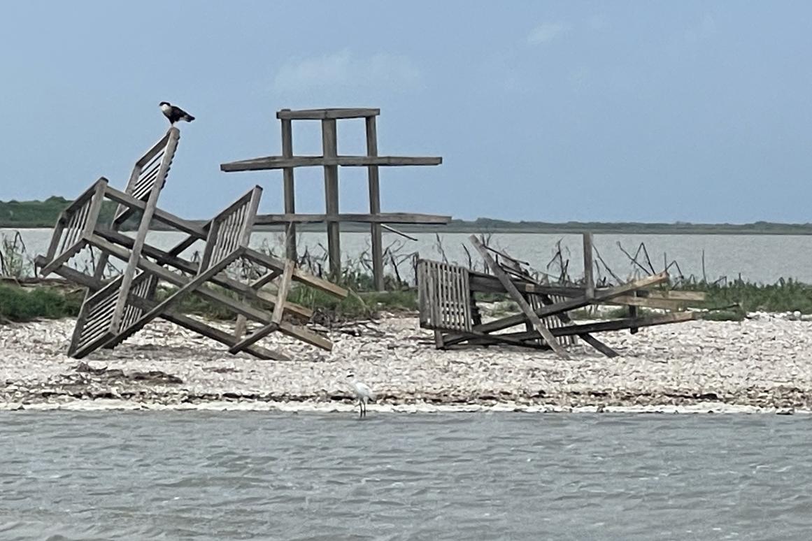 broken nest structures on bird island after Tropical Storm Alberto