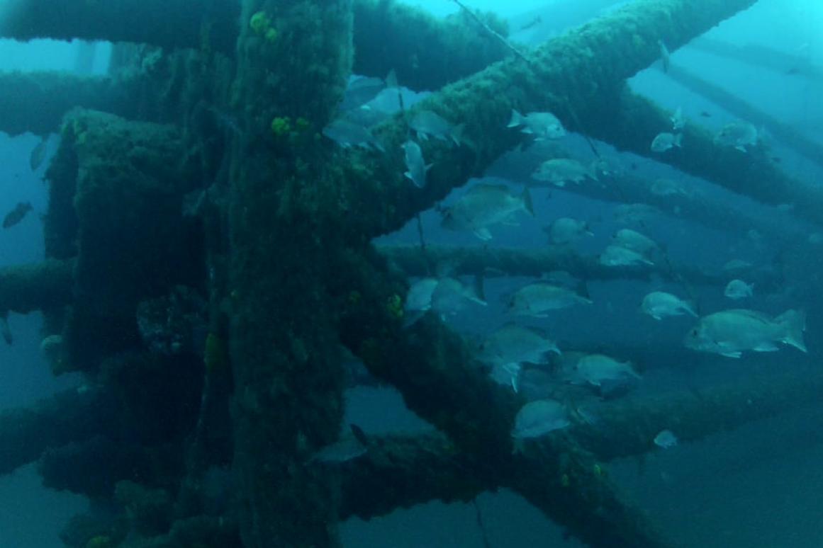 Artificial Reef