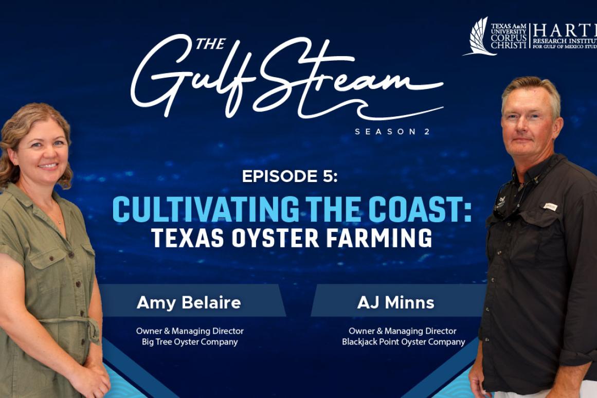 Gulf Stream Podcast episode - Cultivating the Coast