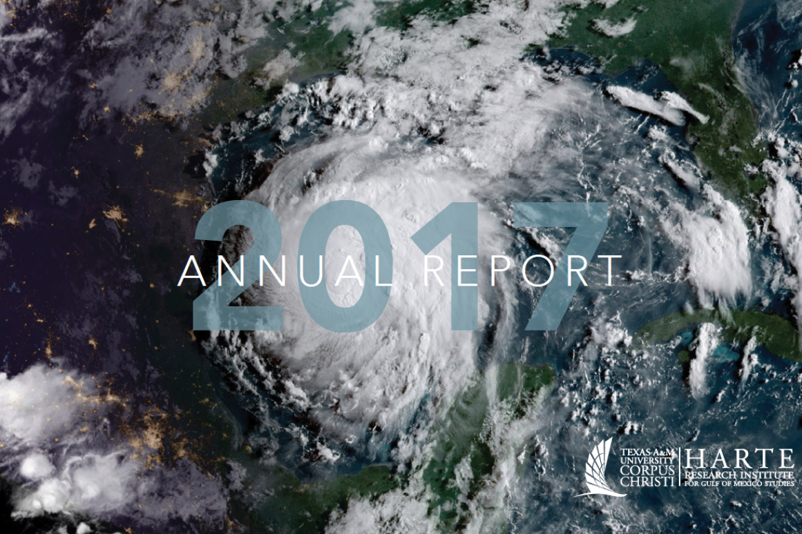 Annual Report Cover