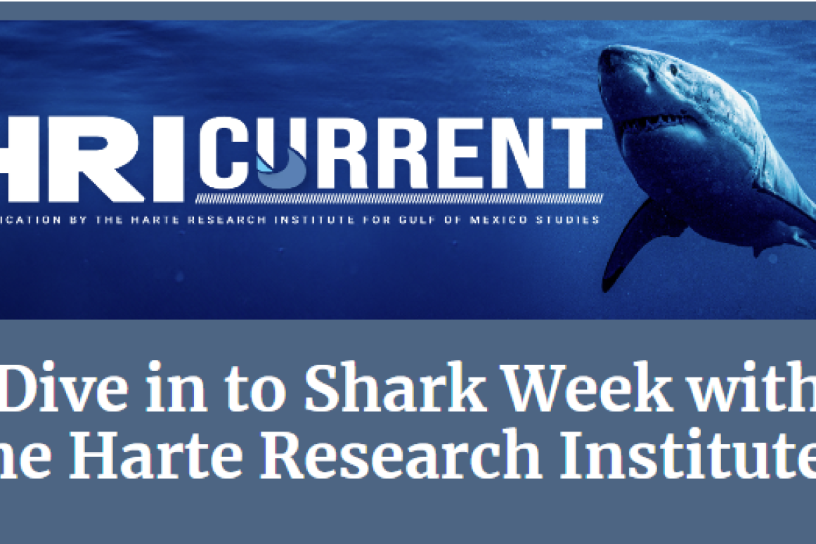 HRI Shark Week Newsletter