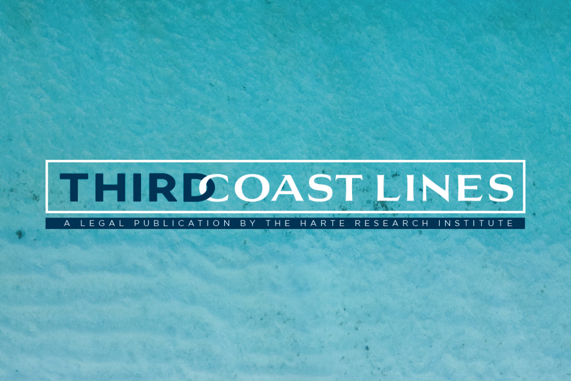 Cover image of Third Coast Lines publication