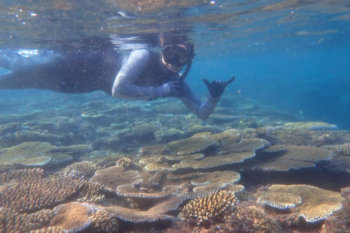 Dr. Bahr snorkeling over coral reef in Fiji