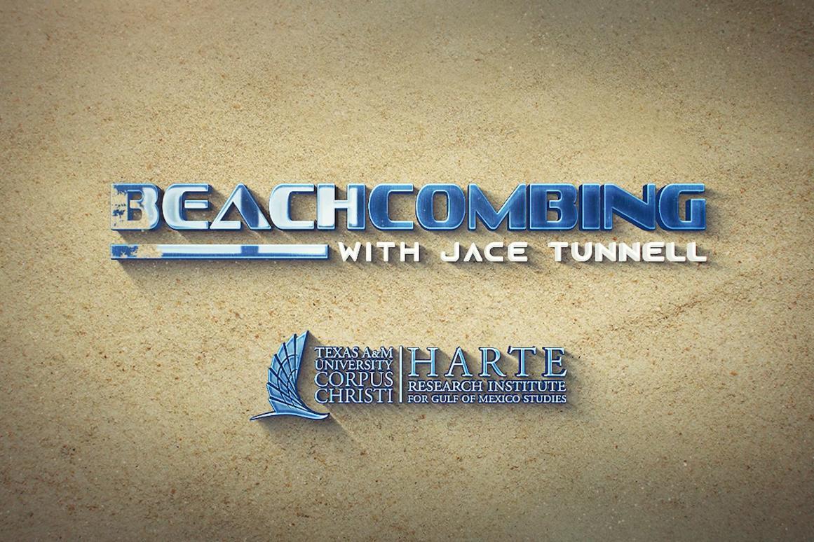 Beachcombing video series